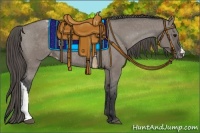 Horse Color:Grullo Appaloosa Rabicano 