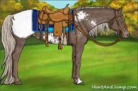 Horse Color:Silver Black Appaloosa 