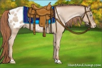 Horse Color:Smoky Blue Roan Pearl Appaloosa 