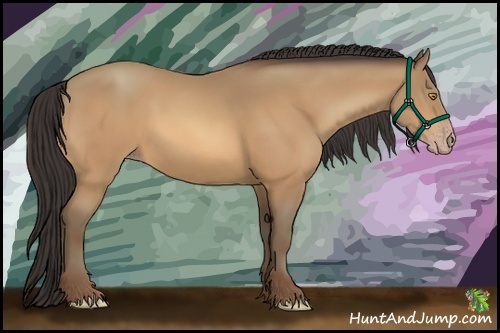 Horse Color:Amber Champagne 