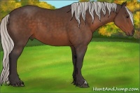 Horse Color:Silver Brown 