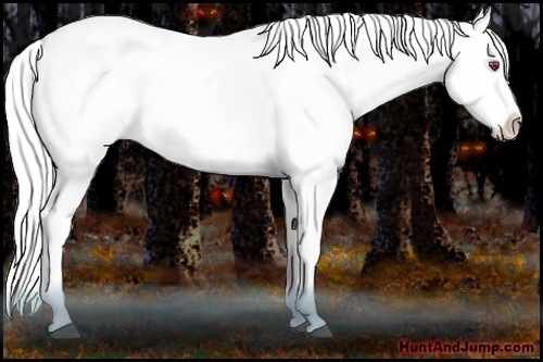 Horse Color:Liver Red Onyx Chinchilla Sabino Splash 