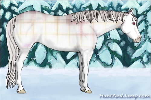 Horse Color:Plaid  Chocolate Silver Brown Chinchilla Onyx Sabino Splash 