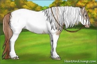 Horse Color:Red Dun Tobiano Frame Blanket