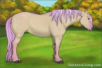 Horse Color:Watercolor Palomino Dun