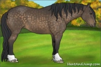 Horse Color:Brown 
