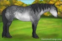 Horse Color:Brown Chinchilla 