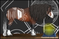 Horse Color:Brown Roan Splash