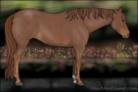Horse Color:Red Roan 