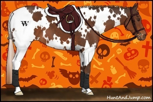 Horse Color:White Spotted Liver Chestnut 