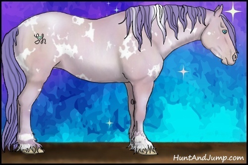 Horse Color:Watercolor White Spotted Amber Champagne Pearl Sabino 