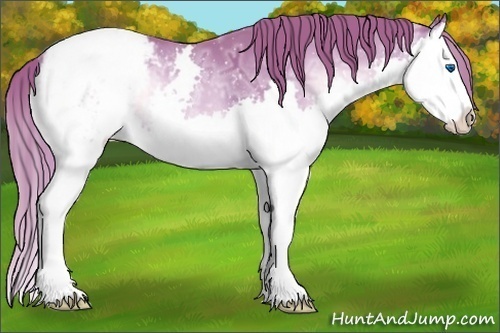 Horse Color:Watercolor Red Onyx Ice Sabino Splash Snowcap