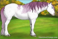 Horse Color:Watercolor Red Onyx Ice Sabino Splash Snowcap