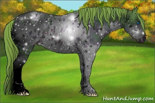 Horse Color:ERROR: UNKNOWN ANOMALY