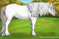 Horse Color:Chestnut Blanket 