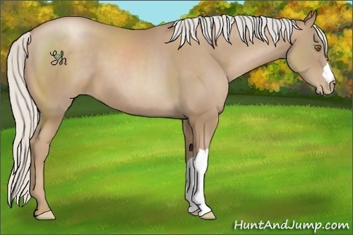 Horse Color:Silver Black Pearl 