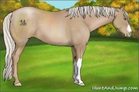 Horse Color:Silver Black Pearl