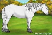 Horse Color:Silver Bay Chinchilla