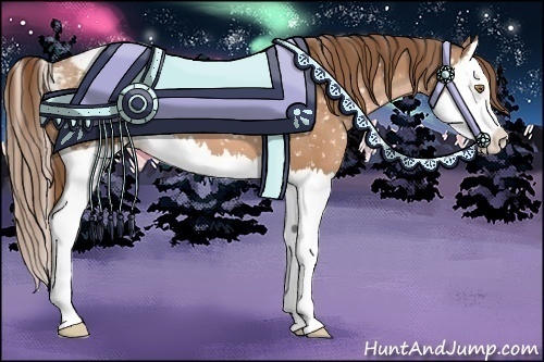 Horse Color:Brown Pearl Splash Appaloosa