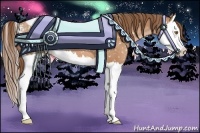 Horse Color:Brown Pearl Splash Appaloosa