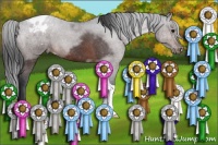 Horse Color:Brown Appaloosa