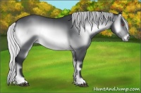 Horse Color:Silver Brown Chinchilla Onyx 