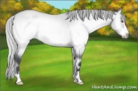 Horse Color:Silver Brown Chinchilla Roan Onyx Frame