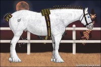 Horse Color:Silver Buckskin Sabino Splash 