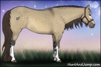 Horse Color:White Spotted Buckskin Dun Appaloosa Rabicano