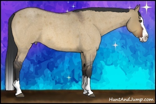 Horse Color:Bay Roan Dun Splash