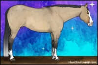 Horse Color:Bay Roan Dun Splash