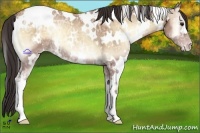 Horse Color:White Spotted Classic Champagne Ice Onyx