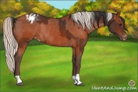 Horse Color:Bay Varnish and Silver Brown Varnish Rabicano