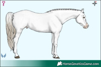 Horse Color:Liver Red Dun Roan Splash Tobiano Frame Blanket 