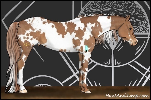 Horse Color:White Spotted Chestnut Varnish