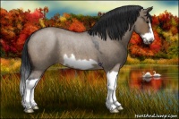 Horse Color:Brown Roan Dun Splash Frame Rabicano 