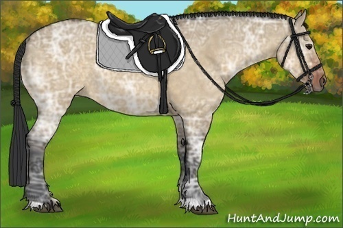 Horse Color:Brown Ice Roan Dun Rabicano