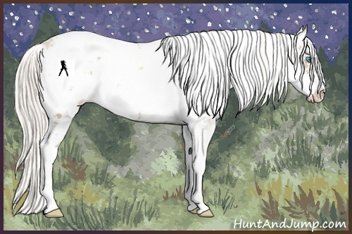 Horse Color:Palomino Pearl Sabino