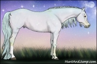 Horse Color:Watercolor Palomino Dun