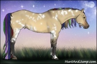 Horse Color:Painted White Spotted Buckskin Dun 