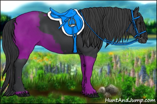 Horse Color:Black 