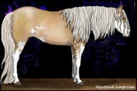 Horse Color:Silver Black Pearl Sabino 