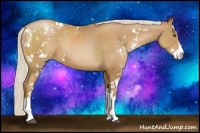 Horse Color:Silver Black Pearl Sabino 