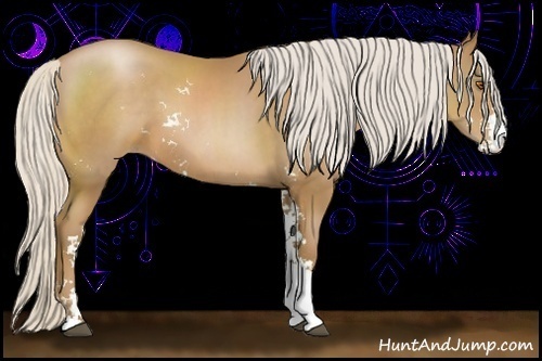 Horse Color:Silver Black Pearl Sabino 