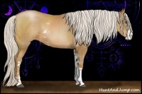 Horse Color:Silver Black Pearl Sabino 