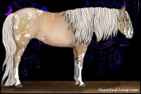 Horse Color:Silver Black Pearl Sabino 