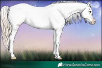 Horse Color:Chocolate Palomino Snowflake Varnish