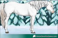 Horse Color:White Spotted Liver Chestnut Pearl Blanket 