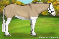 Horse Color:Silver Brown Dun Splash 