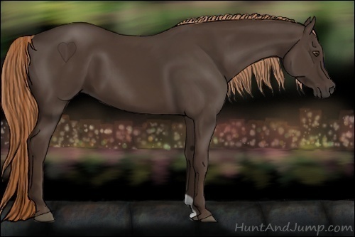 Horse Color:Liver Chestnut 